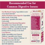 Paet Dhara Gut Health Formula - Image 4