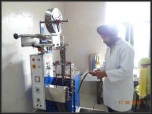 Pouch (Sachet) filling and sealing machine section