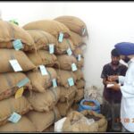 Marking of sorted raw material herbs in raw material section of Dr. Asma Herbals Factory