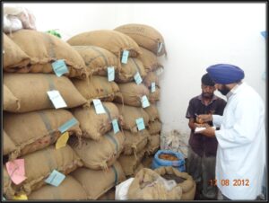 Marking of sorted raw material herbs in raw material section of Dr. Asma Herbals Factory