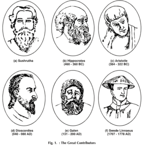 figures of great contributors of Ayurveda or herbal medicines