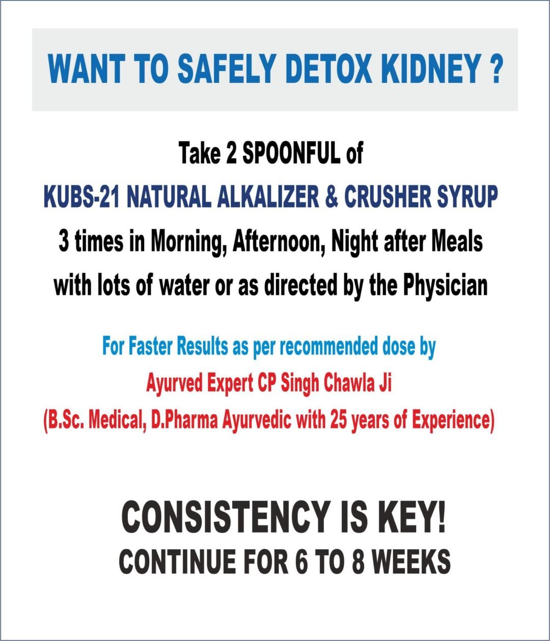 KUBS 21 Ayurvedic Kidney Cleanse Alkalizer Syrup - Image 2