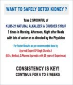 KUBS 21 Ayurvedic Kidney Cleanse Alkalizer Syrup - Image 2