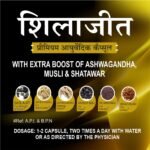Dr Asma Shilajit Capsule - Image 3